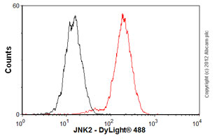 Overlay histogram showing HeLa cells stained with ab76125 (red line). The cells were fixed with 80% methanol (5 min) and then permeabilized with 0.1% PBS-Tween for 20 min. The cells were then incubated in 1x PBS / 10% normal goat serum / 0.3M glycine to block non-specific protein-protein interactions followed by the antibody (ab76125, 1/100 dilution) for 30 min at 22ºC. The secondary antibody used was DyLight® 488 goat anti-rabbit IgG (H+L) (ab96899) at 1/500 dilution for 30 min at 22ºC. Isotype control antibody (black line) was rabbit IgG (monoclonal) (1µg/1x106 cells) used under the same conditions. Acquisition of >5,000 events was performed.