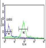 ab93460 cytometric analysis of MCF-7 cells (right histogram) compared to a negative control cell (left histogram).FITC-conjugatedgoat-anti-rabbit secondary antibodies were used for the analysis.