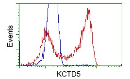 HEK293T cells transfected with either pCMV6-ENTRY KCTD5 (Red) or empty vector control plasmid (Blue) were immunostained with ab118145, at a 1/100 dilution, and then analyzed by flow cytometry.