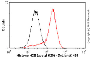Overlay histogram showing HeLa cells stained with ab52988 (red line). The cells were fixed with 80% methanol (5 min) and then permeabilized with 0.1% PBS-Tween for 20 min. The cells were then incubated in 1x PBS / 10% normal goat serum / 0.3M glycine to block non-specific protein-protein interactions followed by the antibody (ab52988, 1/100 dilution) for 30 min at 22ºC. The secondary antibody used was DyLight® 488 goat anti-rabbit IgG (H+L) (ab96899) at 1/500 dilution for 30 min at 22ºC. Isotype control antibody (black line) was rabbit IgG (monoclonal) (1µg/1x106 cells) used under the same conditions. Acquisition of >5,000 events was performed.