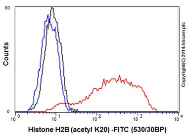Flow cytometric analysis of 2% paraformaldehyde-fixed HeLa (Human epithelial cells from cervix adenocarcinoma) cells treated with 500ng/ml Trichostatin A for 4 hours, labeling Histone H2B (acetyl K20) with ab177430 at 1/300 dilution (red) compared with a rabbit monoclonal IgG isotype control (black) and a unlabelled control (cells without incubation with primary antibody and secondary antibody; blue). Goat anti rabbit IgG (FITC) at 1/150 dilution was used as the secondary antibody.