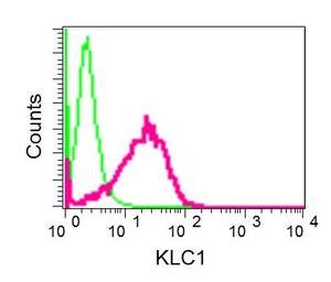 Flow Cytometric analysis of permeabilized HeLa cells labeling KLC1 with ab174273 at 1/10 dilution (red) or a rabbit IgG (negative) (green).