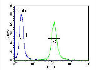 Flow Cytometry analysis of A549 cells labeling L12R1 with ab175601 at 1/10 (right histogram) and a negative control cell (left histogram). FITC-conjugated goat-anti-rabbit secondary antibodies were used for the analysis.