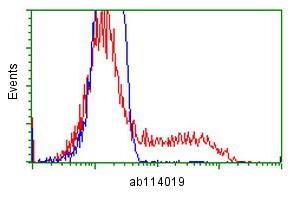 ab114019 staining L1CAM in HEK293T cells transfected with L1CAM overexpression plasmid (red) or empty vector control (blue), and analyzed by flow cytometry.