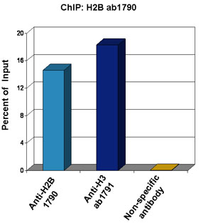 Chromatin from Xenopus laevis oocytes was prepared according to the Abcam X-ChIP protocol. Oocytes were fixed with formaldehyde for 10 min. The ChIP was performed with 25 µg of chromatin, 3 µg of ab1790 (anti-H2B, light blue) and 3 µg of ab1791 (anti-H3, dark blue), and 20 µl of Protein A/G sepharose beads. A non-specific antibody was used as a control (yellow). The immunoprecipitated DNA was quantified by real time PCR (Taqman approach).