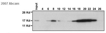developed using the ECL techniquePerformed under reducing conditions.