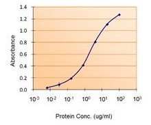 Sandwich-type ELISA with increasing amount of recombinant LTF captured by a rabbit antibody. ab77548 reporter concentration: 5 ug/ml