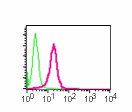 Flow cytometric analysis of permeabilized Jurkat cells using ab53293 (red) or a rabbit IgG (negative) (green).