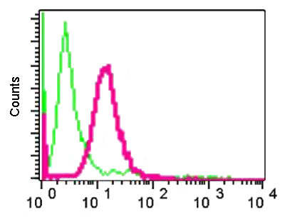 ab124697 at 1/10 dilution, staining LHX3 in permeabilized Jurkat cells by flow cytometry (red), compared with a negative control Rabbit IgG antibody (green).