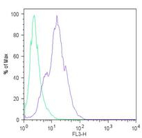 Flow Cytometrical analysis of H9 embryonic stem cells labeling Lin28 with ab175352 at 1/100 (right histogram) compared to rabbit IgGl (left histogram) and incubated with a fluorescently-conjugated secondary antibody.