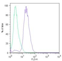 Flow Cytometrical analysis of HEL 11.4 induced IPS cells labeling Lin28 with ab175352 at 1/100 (right histogram) compared to rabbit IgGl (left histogram) and incubated with a fluorescently-conjugated secondary antibody.