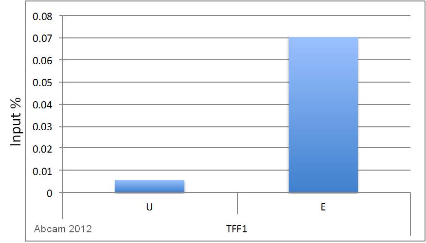 ChIP of H3Cit26 at the TFF1 gene promoter of MCF-7 cells with ab19847. As expected H3Cit26 was enriched at the TFF1 promoter of cells treated with Estrogen for 45' (E) compared to cells treated with Ethanol as a negative control (U).