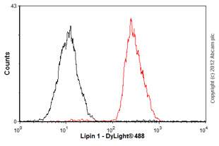 Overlay histogram showing HepG2 cells stained with ab92316 (red line). The cells were fixed with 80% methanol (5 min) and then permeabilized with 0.1% PBS-Tween for 20 min. The cells were then incubated in 1x PBS / 10% normal goat serum / 0.3M glycine to block non-specific protein-protein interactions followed by the antibody (ab92316, 1/100 dilution) for 30 min at 22ºC. The secondary antibody used was DyLight® 488 goat anti-rabbit IgG (H+L) (ab96899) at 1/500 dilution for 30 min at 22ºC. Isotype control antibody (black line) was rabbit IgG (monoclonal) (1µg/1x106 cells) used under the same conditions. Acquisition of >5,000 events was performed.