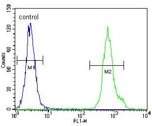 Flow Cytometrical analysis of HeLa cells with ab170263 antibody at a dilution of 1/10 (right histogram) compared to a negative control cell (left histogram).