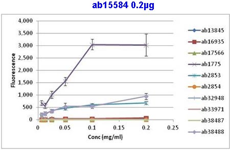 All batches of ab15584 are tested in Peptide Array against peptides to different Histone H3 modifications. Six dilutions of each peptide are printed on to the Peptide Array in triplicate and results are averaged before being plotted on to a graph. Results show strong binding to Histone H3 - mono methyl R2 peptide (ab1775), indicating that this antibody specifically recognises the Histone H3 - mono methyl R2 modification.1. ab1775 – Histone H3 - mono methyl R2 peptide2. ab38488 – Histone H3 - symmetric di methyl R23. ab2853 – Histone H3 - asymmetric di methyl R24. ab17566 – Histone H3 - non-modified5. ab33971 – Histone H3 - mono methyl R86. ab13845 – Histone H3 - mono methyl R177. ab16935 – Histone H3 - asymmetric di methyl R178. ab32948 – Histone H3 - symm