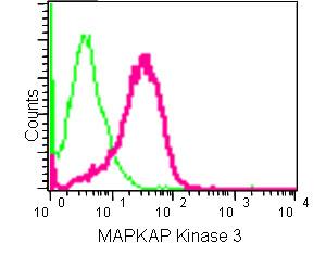 Flow cytometric analysis of 2% paraformaldehyde fixed HeLa cells labeling MAPKAP Kinase 3 with ab183040 at 1/100 followed by Goat anti rabbit IgG (FITC) at 1/150 (pink). Rabbit monoclonal IgG was used as Isotype control (green).