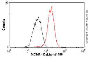 Overlay histogram showing HeLa cells stained with ab52489 (red line). The cells were fixed with 80% methanol (5 min) and then permeabilized with 0.1% PBS-Tween for 20 min. The cells were then incubated in 1x PBS / 10% normal goat serum / 0.3M glycine to block non-specific protein-protein interactions followed by the antibody (ab52489, 1/100 dilution) for 30 min at 22°C. The secondary antibody used was DyLight® 488 goat anti-rabbit IgG (H+L) (ab96899) at 1/500 dilution for 30 min at 22°C. Isotype control antibody (black line) was rabbit IgG (monoclonal) (1μg/1x106 cells) used under the same conditions. Acquisition of >5,000 events was performed.