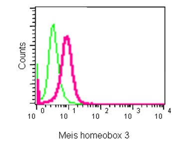 Flow Cytometric analysis of 2% paraformaldehyde-fixed HeLa cells labeling Meis homeobox 3 with ab185961 at 1/210 dilution (red) compared with a rabbit monoclonal IgG isotype control (green). Detection utilised Goat anti rabbit IgG (FITC) at 1/150 dilution.