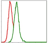 Flow cytometric analysis of Hela cells using ab119934 at a dilution of 1/200 (green) and negative control (red).