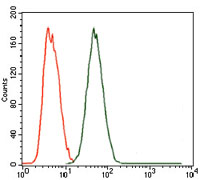 ab129373 at 1/200 dilution (green) or negative control (red) staining MELK in MCF-7 cells by flow cytometry.