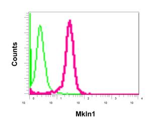 Flow cytometry analysis of permeabilized Jurkat cells labeling Mkln1 (red) with ab178403 at a 1/100 dilution, or negative control rabbit IgG (green)