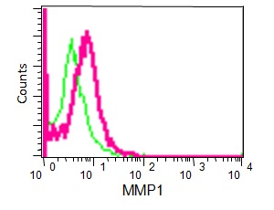 Flow cytometry analysis of HeLa cells labelling MMP1 with purified ab52631 at 1/70 (red). Cells were fixed with 2% paraformaldehyde. A FITC-conjugated goat anti-rabbit IgG was used as the secondary antibody (1/150). Green - Isotype control, rabbit monoclonal IgG.