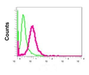 Flow cytometry analysis of permeabilized HeLa cells labeling MNAT1 (red), using ab171965 at a 1/100 dilution, or negative control rabbit IgG (green)