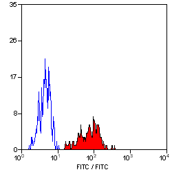 Ab27728, undiluted or at a dilution of 1/10, staining HLA A2 in human peripheral blood monocytes by FACS.