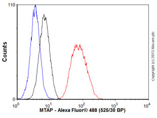 Overlay histogram showing HeLa cells stained with ab126770 (red line). The cells were fixed with 80% methanol (5 min) and then permeabilized with 0.1% PBS-Tween for 20 min. The cells were then incubated in 1x PBS / 10% normal goat serum / 0.3M glycine to block non-specific protein-protein interactions followed by the antibody (ab126770, 1/100 dilution) for 30 min at 22°C. The secondary antibody used was Alexa Fluor® 488 goat anti-rabbit IgG (H&L) (ab150077) at 1/2000 dilution for 30 min at 22°C. Isotype control antibody (black line) was rabbit IgG (monoclonal) (1μg/1x106 cells) used under the same conditions. Unlabelled sample (blue line) was also used as a control. Acquisition of >5,000 events were collected using a 20mW Argon ion laser (488nm) and 525/30 bandpass filter.