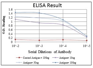 Elisa using ab113637