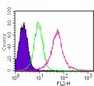 Intracellular flow cytometric analysis of MyD88 antibody (ab107585) in Jurkat cells (0.5 ug). Shaded histogram represents cells without antibody; green represents isotype control; red represents anti-MyD88 antibody. Secondary antibody- anti-mouse IgG PE conjugated.