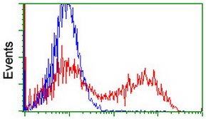 ab128108, at a dilution of 1/100, staining Myeloid leukemia factor 1 in HEK293T cells transfected with either pCMV6-ENTRY Myeloid leukemia factor 1 overexpress plasmid (Red) or empty vector control plasmid (Blue) by Flow Cytometry.