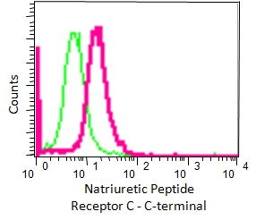 Overlay histogram showing HeLa cells fixed in 2% PFA and stained with purified ab177954 at a dilution of 1 in 270 (pink line). The secondary antibody used was FITC goat anti-rabbit at a dilution of 1 in 150. Rabbit monoclonal IgG was used as an isotype control.