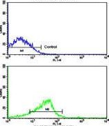Flow cytometric analysis of ZR-75-1 cells labelling NCS1 with ab135764 at 1/10 dilution (bottom histogram) or negative control cell (top histogram). FITC-conjugated goat-anti-rabbit secondary antibodies were used for the analysis.