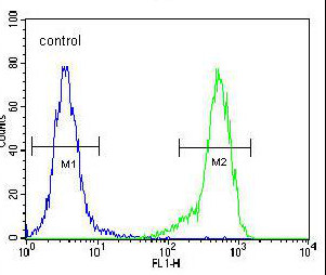 Flow Cytometry analysis of 293 cells labeling NDNF with ab175602 at 1/10 (right histogram) and a negative control cell (left histogram). FITC-conjugated goat-anti-rabbit secondary antibodies were used for the analysis.