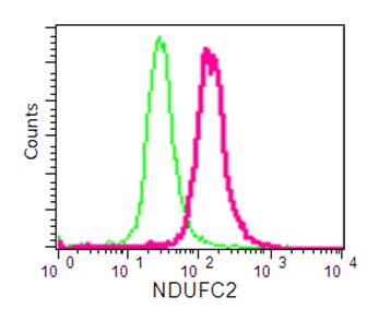 Flow cytometric analysis of 2% paraformaldehyde-fixed A549 cells labeling NDUFC2 with ab192265 at 1/30 dilution (pink) compared with a rabbit monoclonal IgG isotype control (green). Goat anti rabbit IgG (FITC) at 1/150 dilution was used as the secondary antibody.