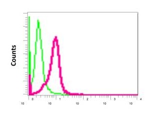 Flow Cytometrical analysis of permeabilized Jurkat cells with ab169540 antibody at a dilution of 1/10 (red) or a rabbit IgG (negative) (green).