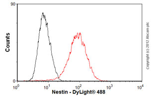 Overlay histogram showing SH-SY5Y cells stained with ab105389 (red line). The cells were fixed with 4% paraformaldehyde (10 min) and then permeabilized with 0.1% PBS-Tween for 20 min. The cells were then incubated in 1x PBS / 10% normal goat serum / 0.3M glycine to block non-specific protein-protein interactions followed by the antibody (ab105389, 1/50 dilution) for 30 min at 22ºC. The secondary antibody used was DyLight® 488 goat anti-rabbit IgG (H+L) (ab96899) at 1/500 dilution for 30 min at 22ºC. Isotype control antibody (black line) was rabbit IgG (monoclonal) (1µg/1x106 cells) used under the same conditions. Acquisition of >5,000 events was performed.