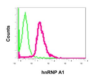 Flow cytometric analysis of permeabilized Jurkat cells labeling hnRNP A1 with ab177152 at 1/10 dilution (red), or a rabbit IgG (negative) (green).