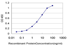 Detection limit for recombinant tagged hnRNP M3-M4 is approximately 0.1 ng/ml as a capture antibody.