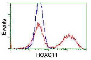 HEK293T cells transfected with either pCMV6-ENTRY overexpress plasmid (Red) or empty vector control plasmid (Blue) were immunostained by ab118412 at 1/100 dilution, and then analyzed by flow cytometry.