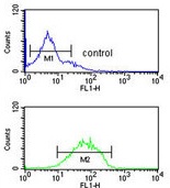 Flow cytometric analysis of K562 cells (bottom histogram) compared to a negative control cell (top histogram) labeling HHAT using ab174944 at a 1/10 dilution. FITC-conjugated goat-anti-rabbit secondary antibodies were used for the analysis.