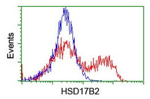 ab127992, at a 1/100 dilution, staining HSD17B2 in HEK293T cells transfected with either HSD17B2 overexpressing plasmid (red) or empty vector control plasmid (blue), by Flow Cytometry.
