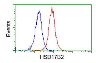 ab127992, at a 1/100 dilution, staining HSD17B2 in Jurkat cells (red) by Flow Cytometry, compared to a nonspecific negative control antibody (blue).