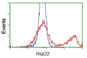 ab119090 at 1/100 dilution staining Hsp22 in HEK293T cells transfected with either pCMV6-ENTRY Hsp22 overexpress plasmid (Red) or empty vector control plasmid (Blue) by Flow Cytometry.