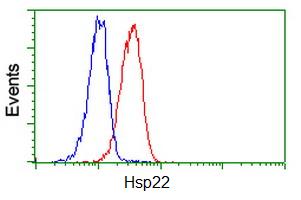 ab119090 at 1/100 dilution staining Hsp22 in Jurkat cells (Red) compared with staining with a nonspecific negative control antibody (Blue) by Flow Cytometry.