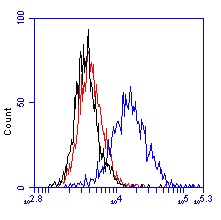 Flow cytometry using ab1. HeLa cells were cultured untreated or with 1mM Deferoxamine (ab120727) for 24 hours to induce HIF-1-alpha protein levels. Cells were then trypsinized, fixed with paraformaldehyde and stained with ab1 (0.5 micrograms/mL). 1% BSA in PBS was used as the blocking buffer throughout. ab1 was labeled with and anti-mouse Alexa-488 dye. Unstained (black), untreated (red) and DFO treated (blue) cell traces are shown.