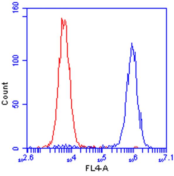 Flow cytometric analysis of methanol-fixed HeLa cells labeling HuR / ELAVL1 with ab170193 at 1µg/mL (blue) or an equal amount of an isotype control antibody (red).