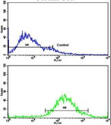 Flow cytometric analysis of jurkat cells using ab91404 (bottom histogram) compared to a negative control cell (top histogram). FITC-conjugated goat-anti-rabbit secondary antibodies were used for the analysis.