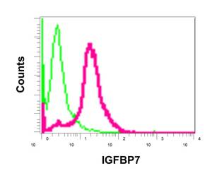Flow cytometric analysis of permeabilized 293T cells labeling IGFBP7 with ab171085 at 1/250 dilution (red) compared to a rabbit IgG negative control (green).